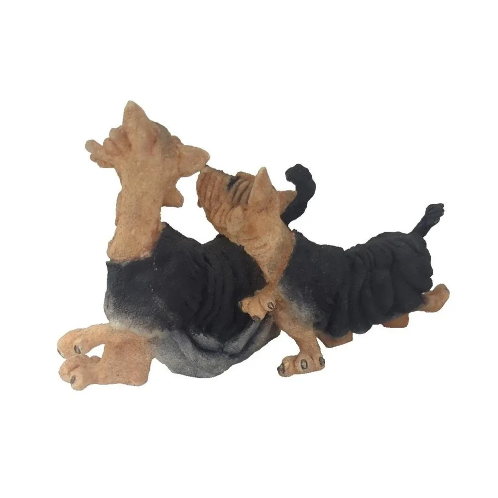 A Breed Apart  Yorkie Pair Junior 8